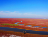 黄河口生态旅游区,探秘黄河口生态旅游区的自然奇观与鸟类天堂