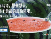 娱乐圈文案吃瓜,揭秘明星们的“吃瓜”大作战