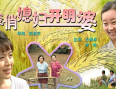 俊俏媳妇开明婆 电影,重温俊俏媳妇开明婆的温馨故事