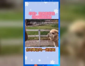 娱乐吃瓜2022,盘点年度热点事件与明星幕后故事