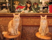 娱乐吃瓜酱男朋友不如猫,揭秘娱乐圈中的“喵星人”魅力