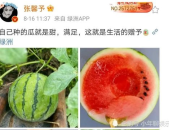 娱乐圈可以吃瓜,揭秘明星幕后故事，一起吃瓜！