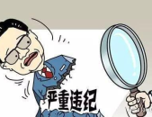 违纪违法,维护社会公平正义