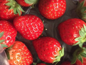 娱乐吃瓜草莓,揭秘娱乐圈的甜蜜秘密