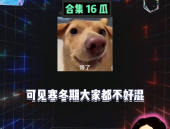 娱乐八卦吃瓜素材,揭秘明星们的幕后故事与情感纠葛