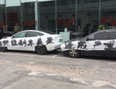 特斯拉车展维权车主道歉,反思维权方式，坚持合理诉求