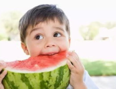 娱乐君吃瓜老绵羊,揭秘老绵羊背后的故事