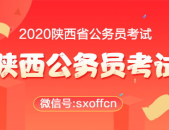 陕西公务员网,副标题写作技巧解析