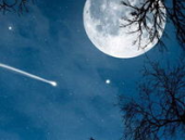 月亮吃瓜娱乐说,揭秘娱乐圈幕后故事