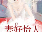 好看的黑社会小说,暗影中的英雄传奇