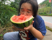 娱乐吃瓜菌子,揭秘娱乐圈那些不为人知的幕后故事