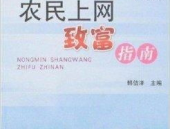 网络致富,探索多元化赚钱途径与成功案例