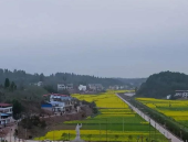 衡南县邮编,揭秘湖南省衡南县邮政编码背后的故事