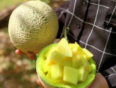 娱乐吃瓜壁纸高清,捕捉娱乐圈瞬间精彩